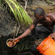 Oil spills have damaged farmlands across the Niger Delta region